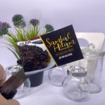 Premium Template CD 034