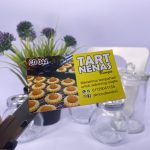 Premium Template CD 044