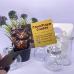 Premium Template CD 046