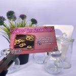 Premium Template CD 053